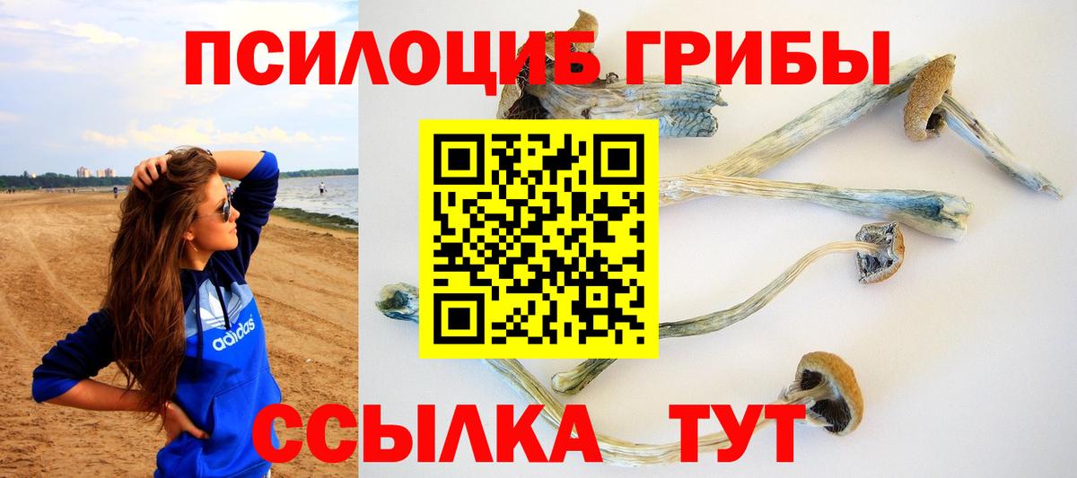 Галлюциногенные грибы ЛСД  Псилоцибиновые грибы Psilocybe  Лесной  Вход с VPN 